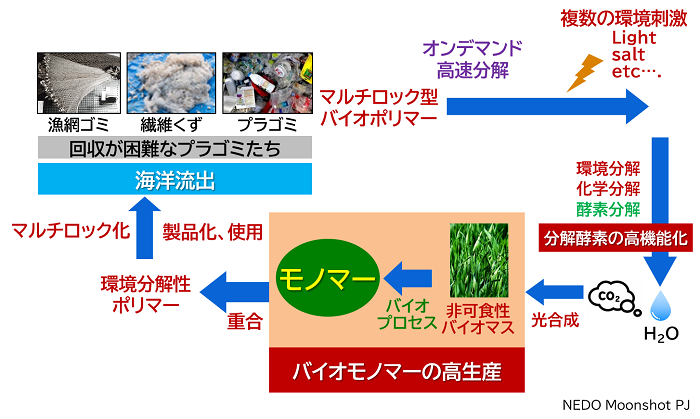 マルチロック型生分解性プラスチックの開発による資源循環の実現イメージ
