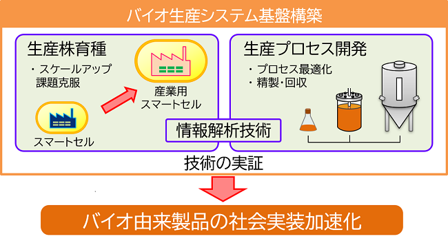 バイオ生産システム基盤構築