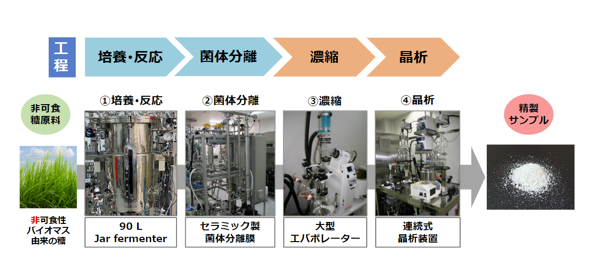 一貫したバイオ生産プロセスの1例