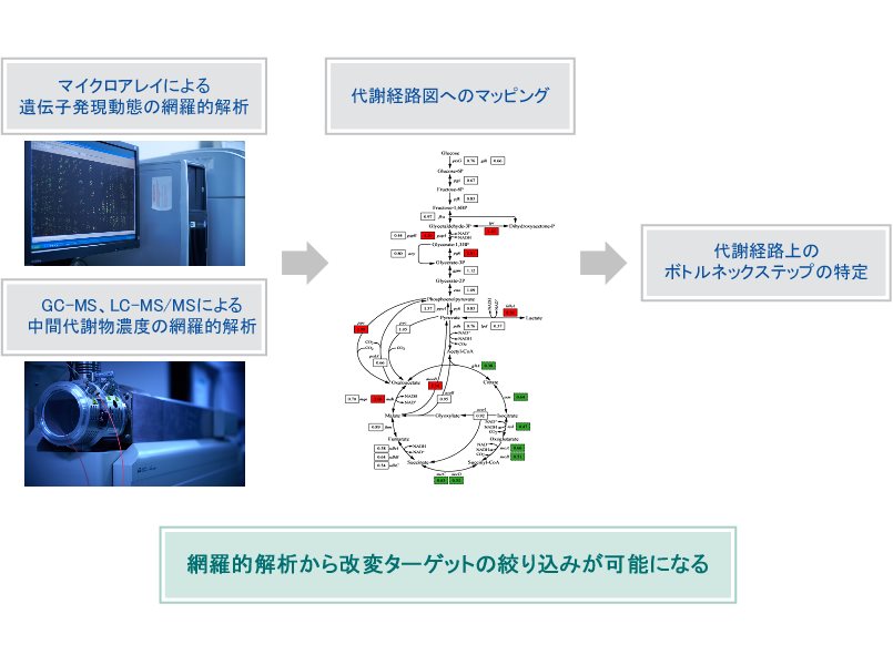 網羅的解析からターゲット解析