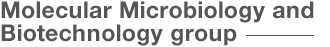 Molecular Microbiology and Biotechnology group