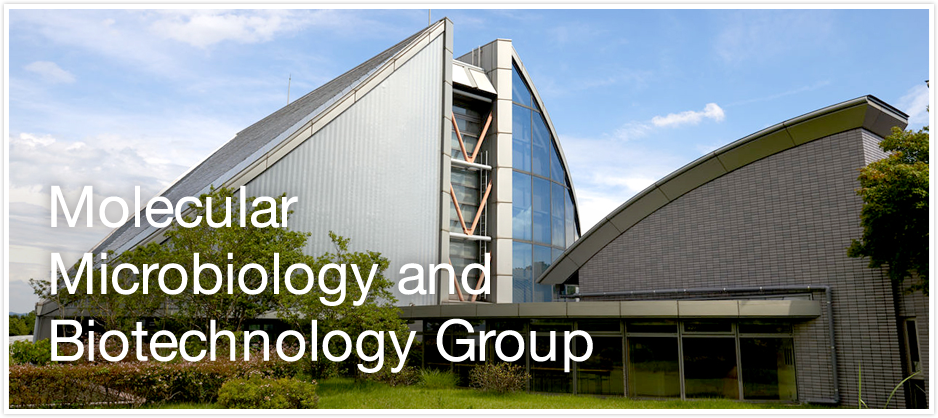 Molecular Microbiology and Biotechnology Group