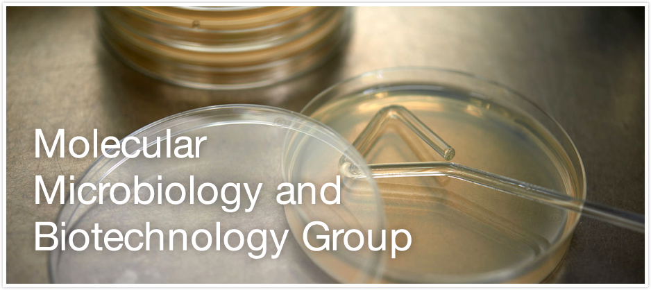 Molecular Microbiology and Biotechnology Group