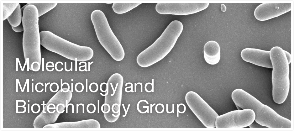 Molecular Microbiology and Biotechnology Group