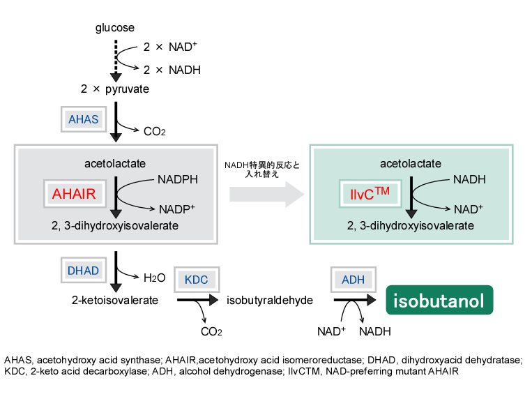 イソブタノール生合成経路の図
