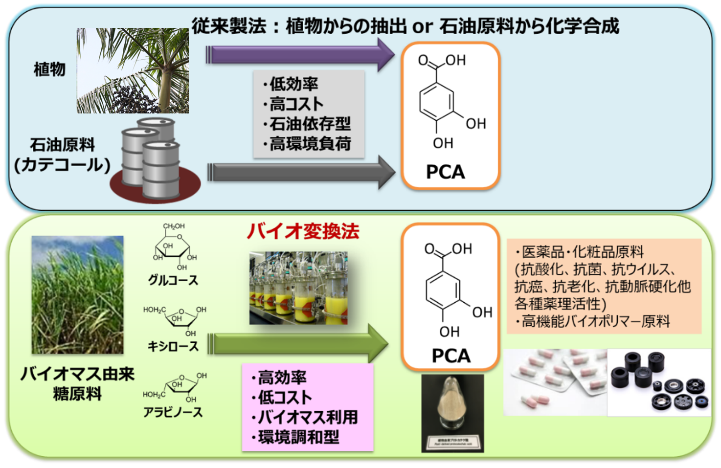 バイオ変換によるPCA生産技術と従来法