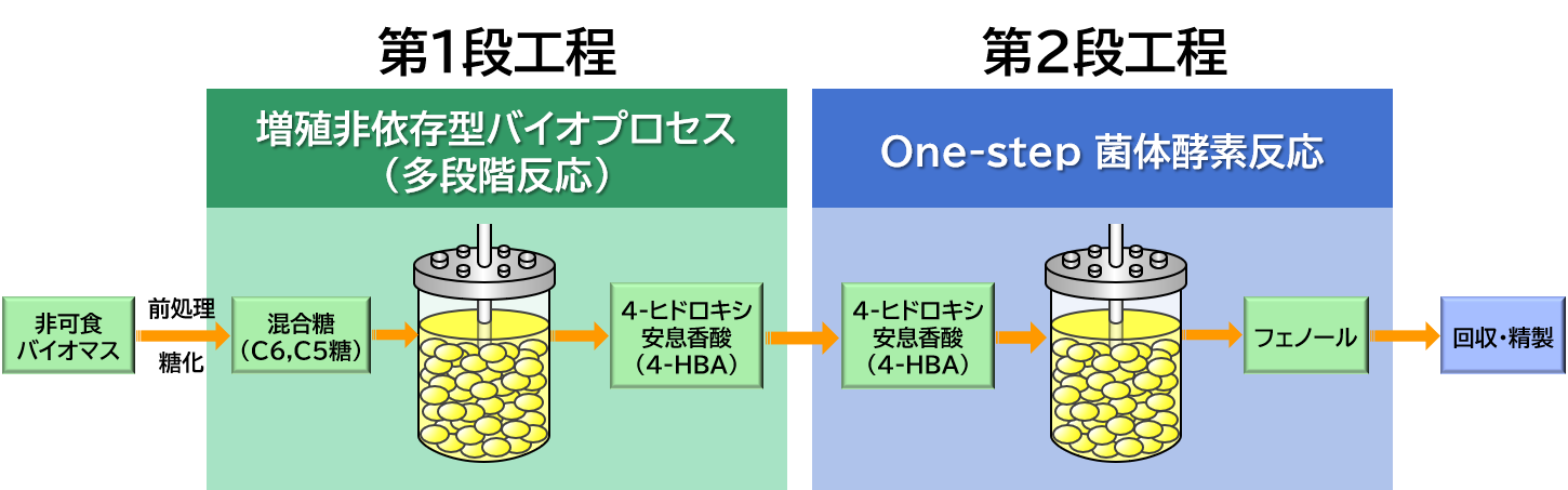 グリーンフェノール生産プロセス