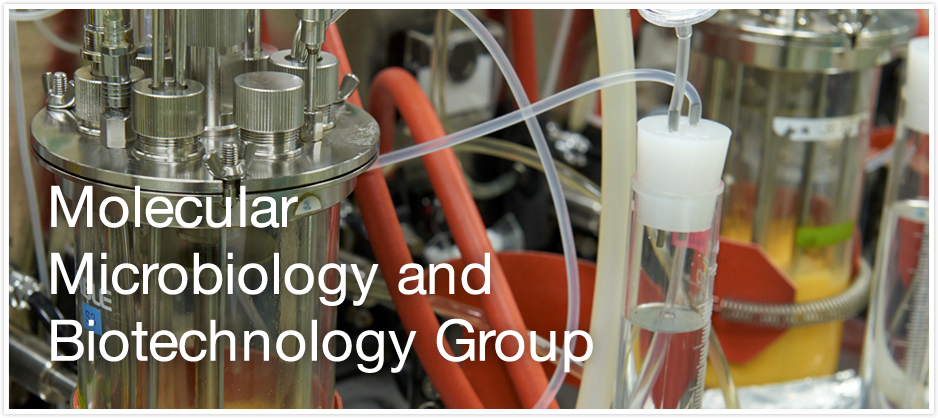 Molecular Microbiology and Biotechnology Group