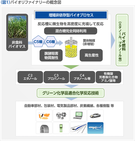 （図1）バイオリファイナリーの概念図