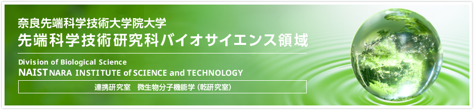 奈良先端科学技術大学院大学連携研究室