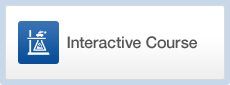 Interactive Course