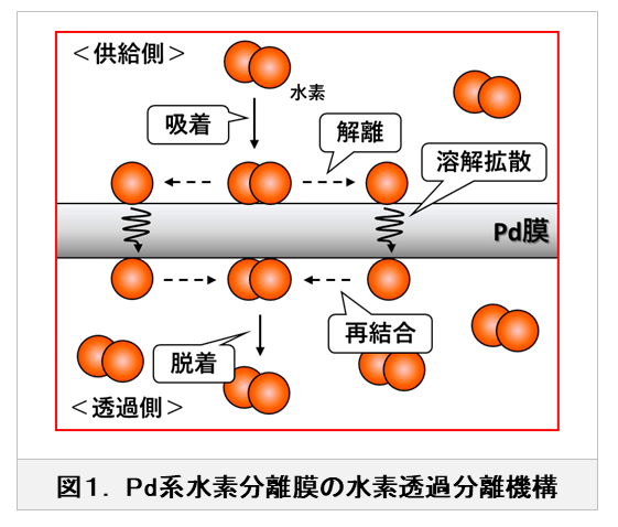 img_Pd_01.png