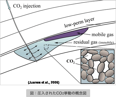 図：圧入されたCO2挙動の概念図