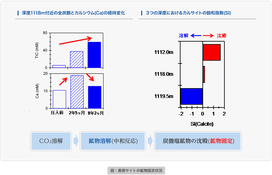 図：長岡サイトの鉱物固定状況