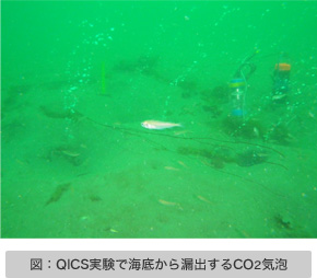 図：QICS実験で海底から漏出するCO2気泡