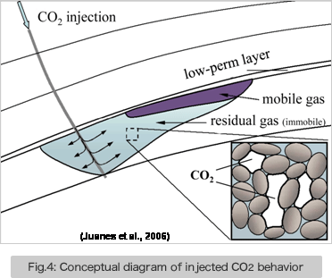 Fig.4: Conceptual diagram of injected CO2 behavior