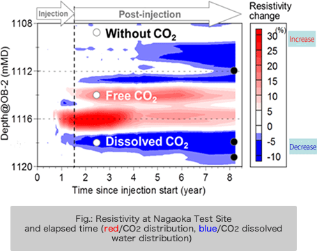 Fig.: Resistivity at Nagaoka Test Site and elapsed time (red/CO2 distribution, blue/CO2 dissolved water distribution)