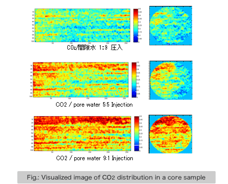 Fig.: Visualized image of CO2 distribution in a core sample