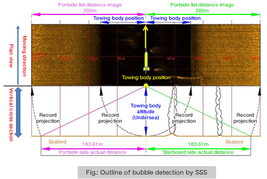 Fig.: Outline of bubble detection by SSS