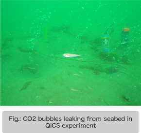 Fig.: CO2 bubbles leaking from seabed in QICS experiment