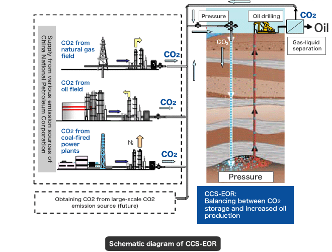 Schematic diagram of CCS-EOR