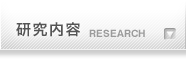 研究内容 RESEARCH