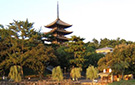 Five-story Pagoda(Kofuku-ji)